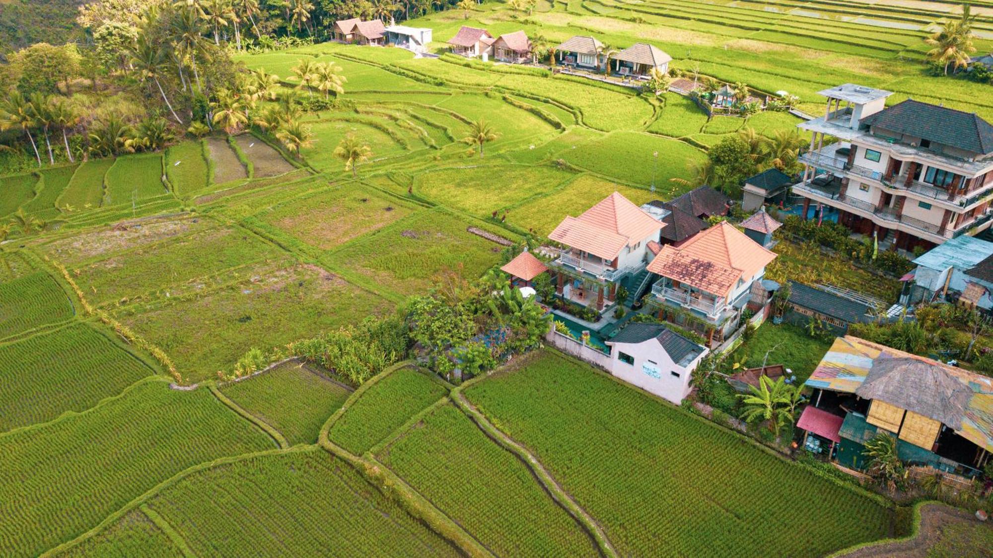 Raditya Villa Ubud Exterior foto